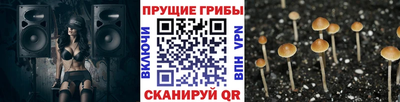 Псилоцибиновые грибы прущие грибы Семёнов